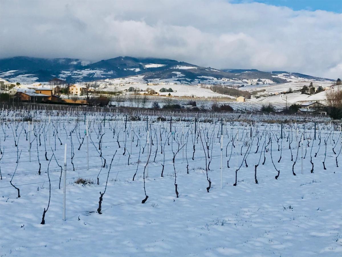 La Boheme, Gite De Charme Quincié-en-Beaujolais Zewnętrze zdjęcie